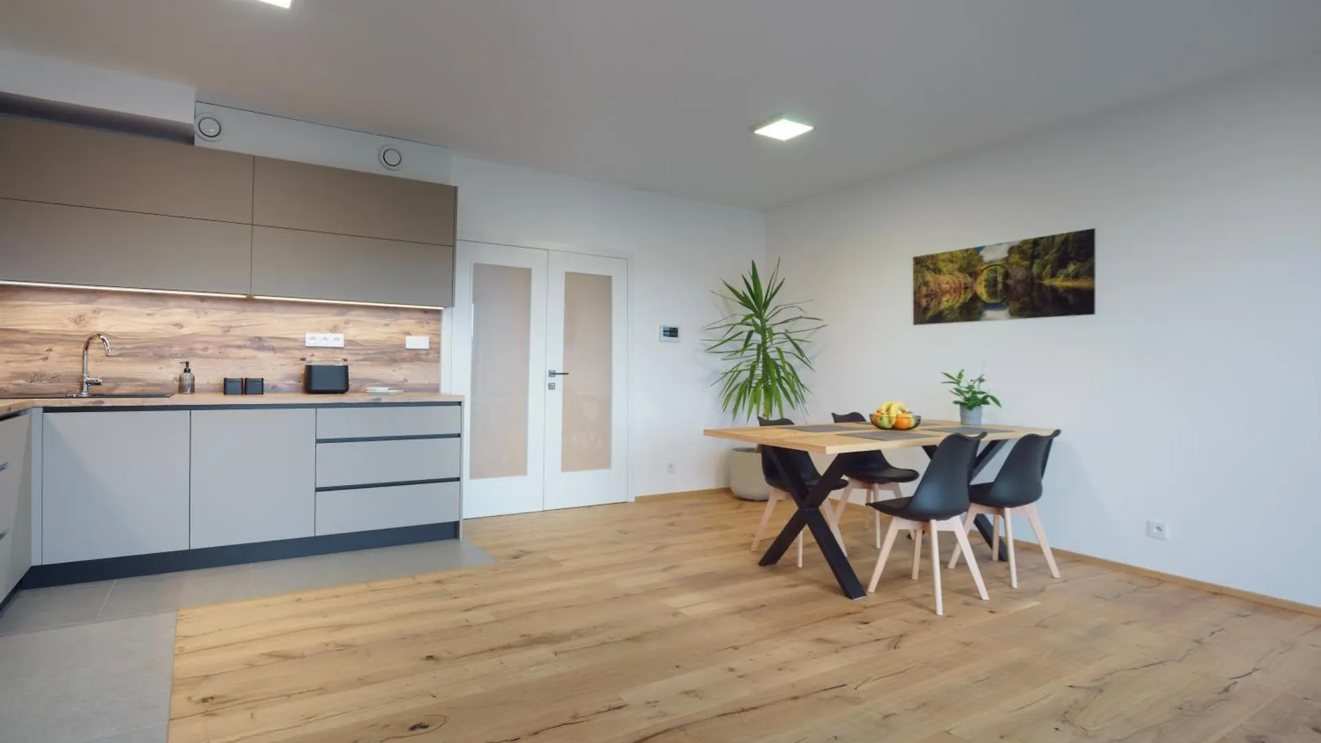 Apartments Podebradova Premium Brno